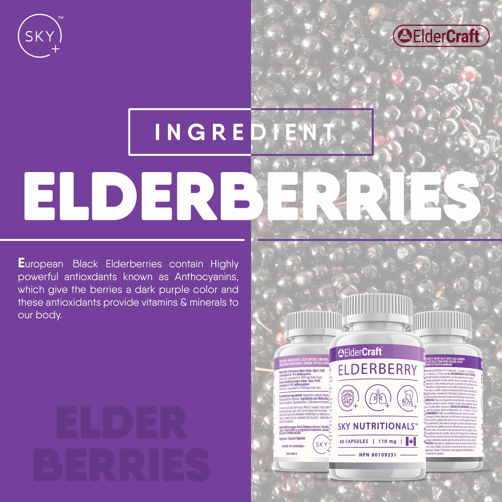 Elderberry Premium Antioxidant Capsules - 110mg