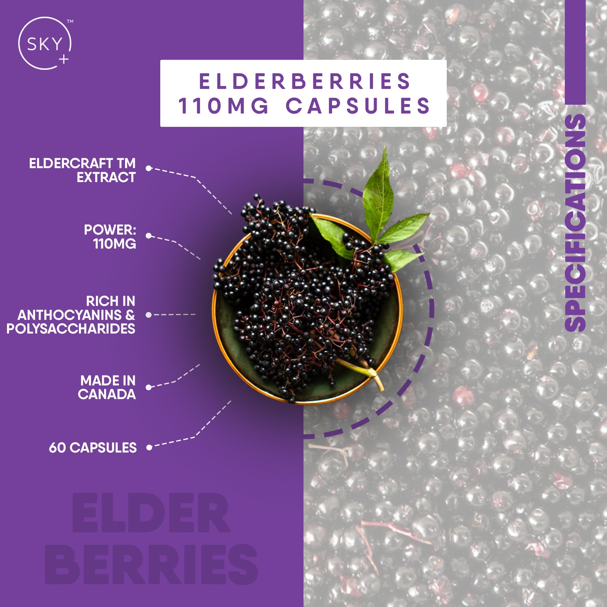 Elderberry Premium Antioxidant Capsules - 110mg