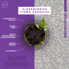 Elderberry Premium Antioxidant Capsules - 110mg (Pack of 3)